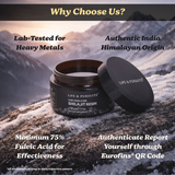 Himalayan Shilajit Resin