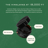 Himalayan Shilajit Resin