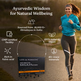 Himalayan Shilajit Dry Drops